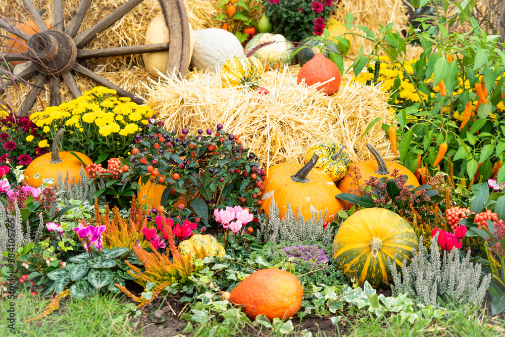 Herbst-Stilleben mit Kürbissen, Strohballen, Wagenrad und Blumen