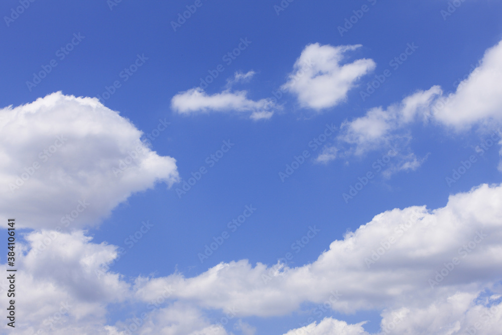 Fototapeta premium 青空