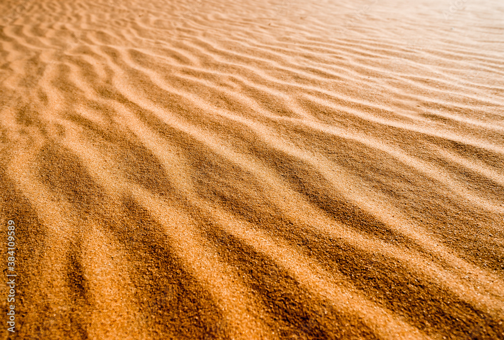 Fototapeta The largest desert in Europe. Desert landscape with sand waves. Dunes background. Sandy dunes with footprints. Oleshky Sands in Kherson region, Ukraine.