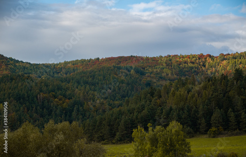 autumn forest in the mountains