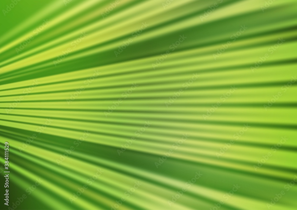 Light Green vector glossy bokeh pattern. Light Green vector glossy bokeh pattern.