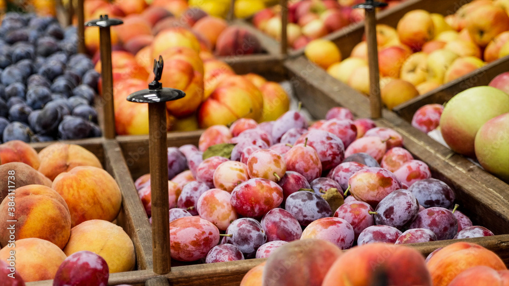 Variety fruits on store shelves - plums, peaches, nectarines, apples. Grocery department of supermarket, no people.