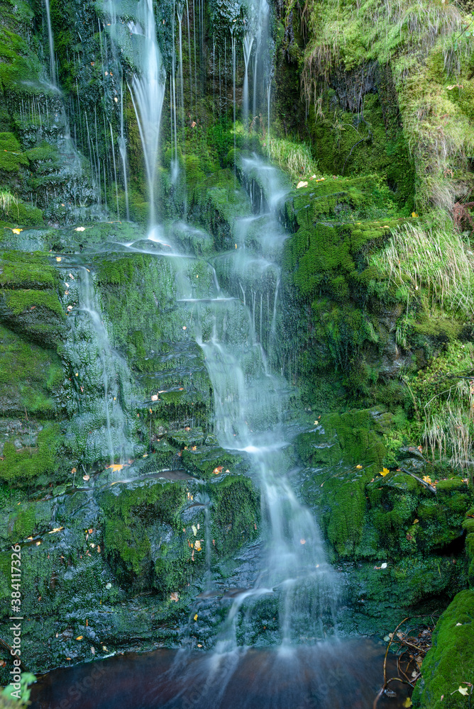waterfall in the forest waterfall in the forest