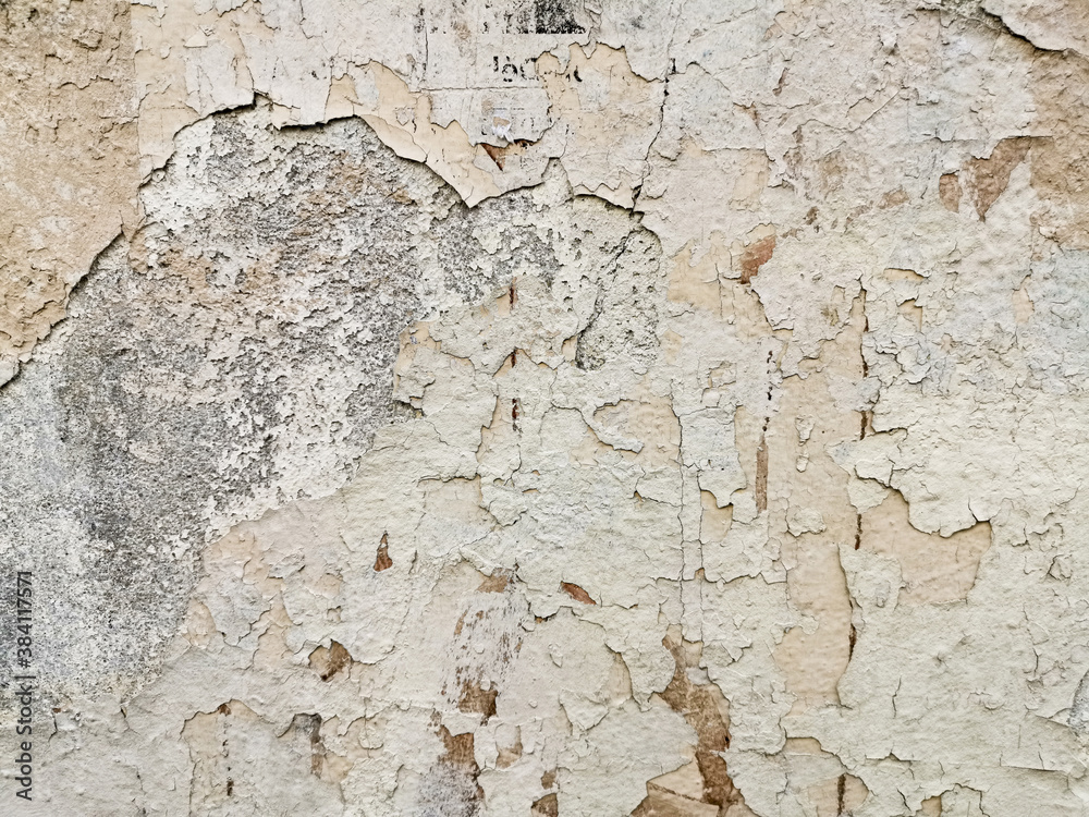 Obraz premium High Resolution texture for background