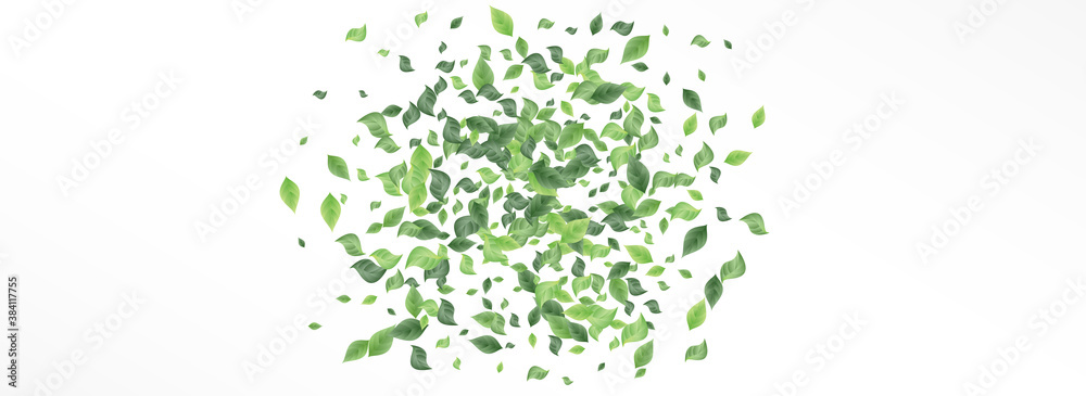 Green Greenery Nature Panoramic White And Gray Green Greenery Nature Panoramic White And Gray