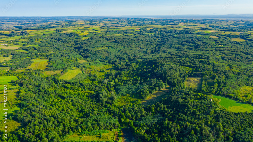 Aerial view of over green landscape