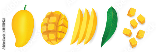 Mango fresh fruit graphic vector illustration.