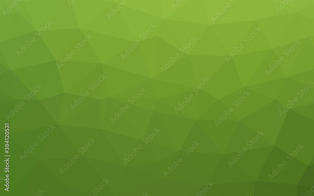 Light Green vector polygon abstract backdrop. Light Green vector polygon abstract backdrop.