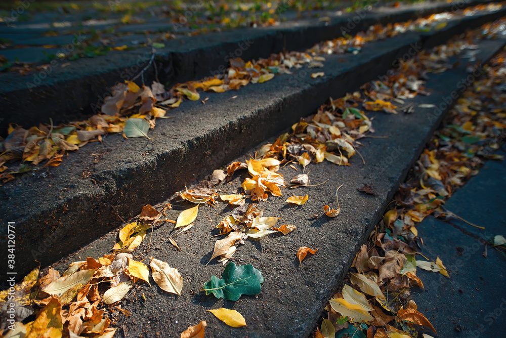 Obraz premium Autumn stairway, old staircase in autumn park covered with fallen leafs. Steps with autumn leaves. Autumn landscape. Uncleaned concrete stair in park and territory of the city park