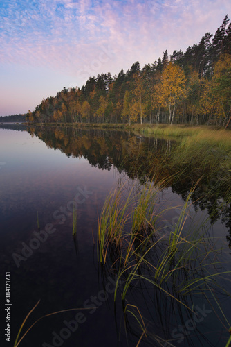 Autumn foliage in forest by lakeside with clam water reflection