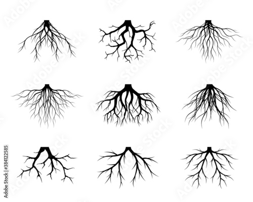 Black Tree Roots. Vector outline Illustration. Plant and Garden.