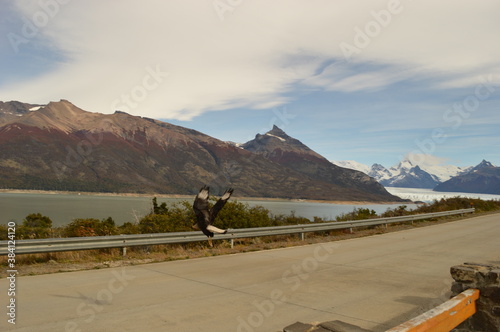 The mighty Perito Moreno Glacier in Los Glaciares National Park in Patagonia, Chile