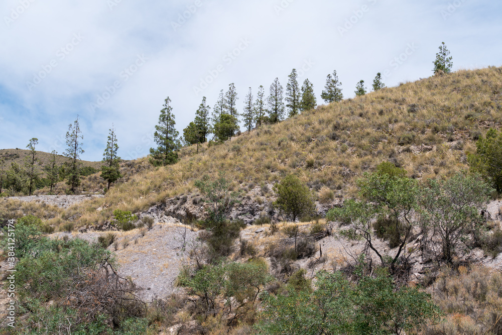 Mountainous area with abundant vegetation