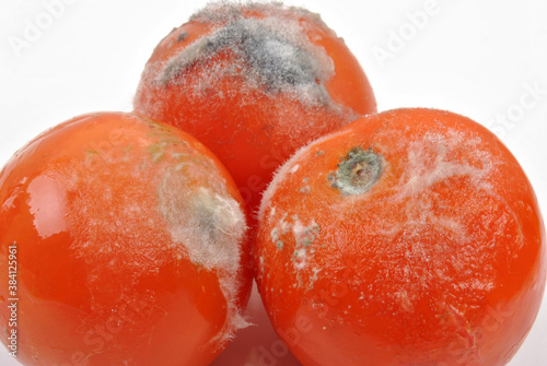 some mouldy tomato on a white background