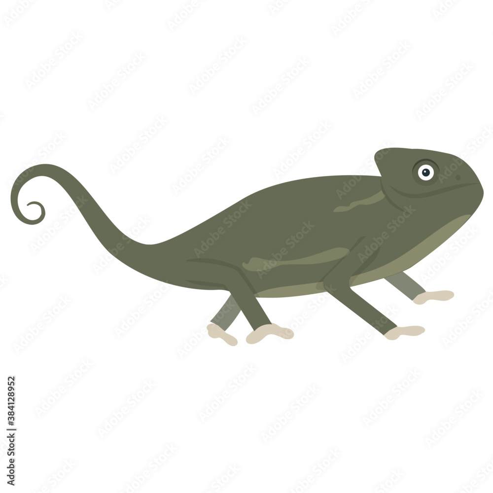 Obraz premium Old world type lizard chameleon icon design 