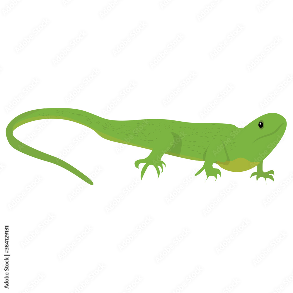 A flat icon design of a lizard
A flat icon design of a lizard