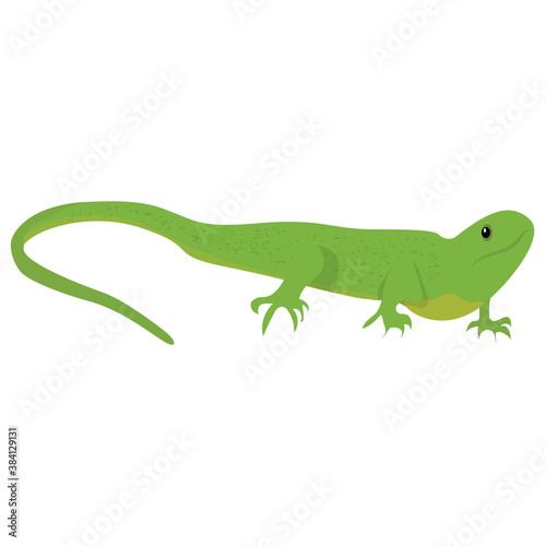  A flat icon design of a lizard 