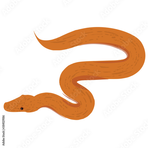 
An isolated snake flat icon vector 
