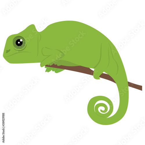 
Old world type lizard chameleon icon design 
