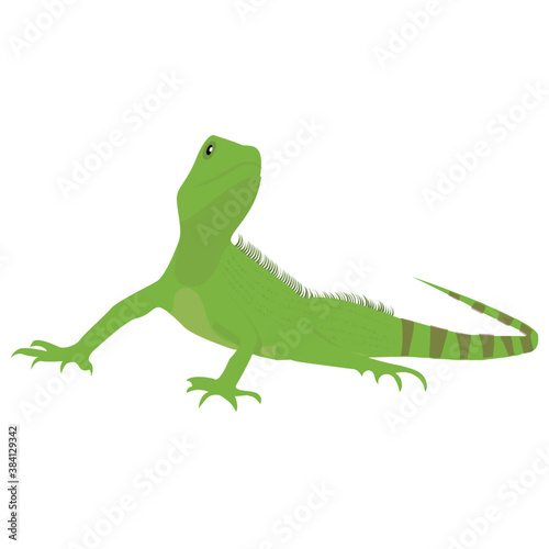  A flat icon design of a lizard  