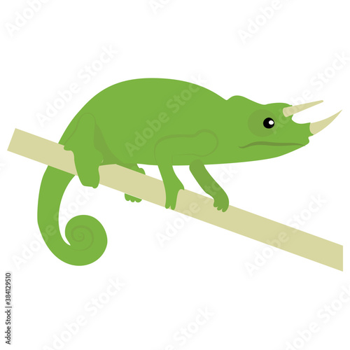 
Old world type lizard chameleon icon design 
