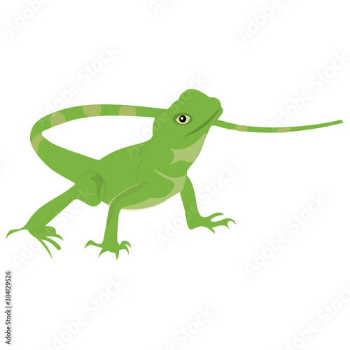 Fototapeta Naklejka Na Ścianę i Meble -  
A flat icon design of a lizard 
