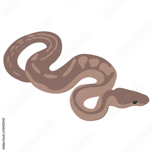 
An isolated snake flat icon vector 
