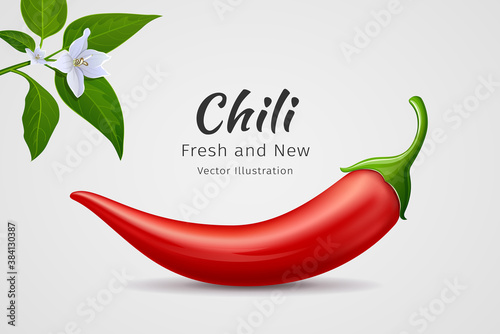 Photo Chili peppers red fresh with leaves and flower chili realistic design, on gray b