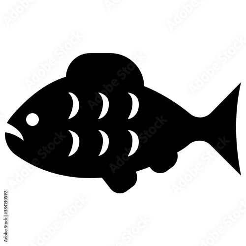 
An animal lives in the ocean having fins, fish 
