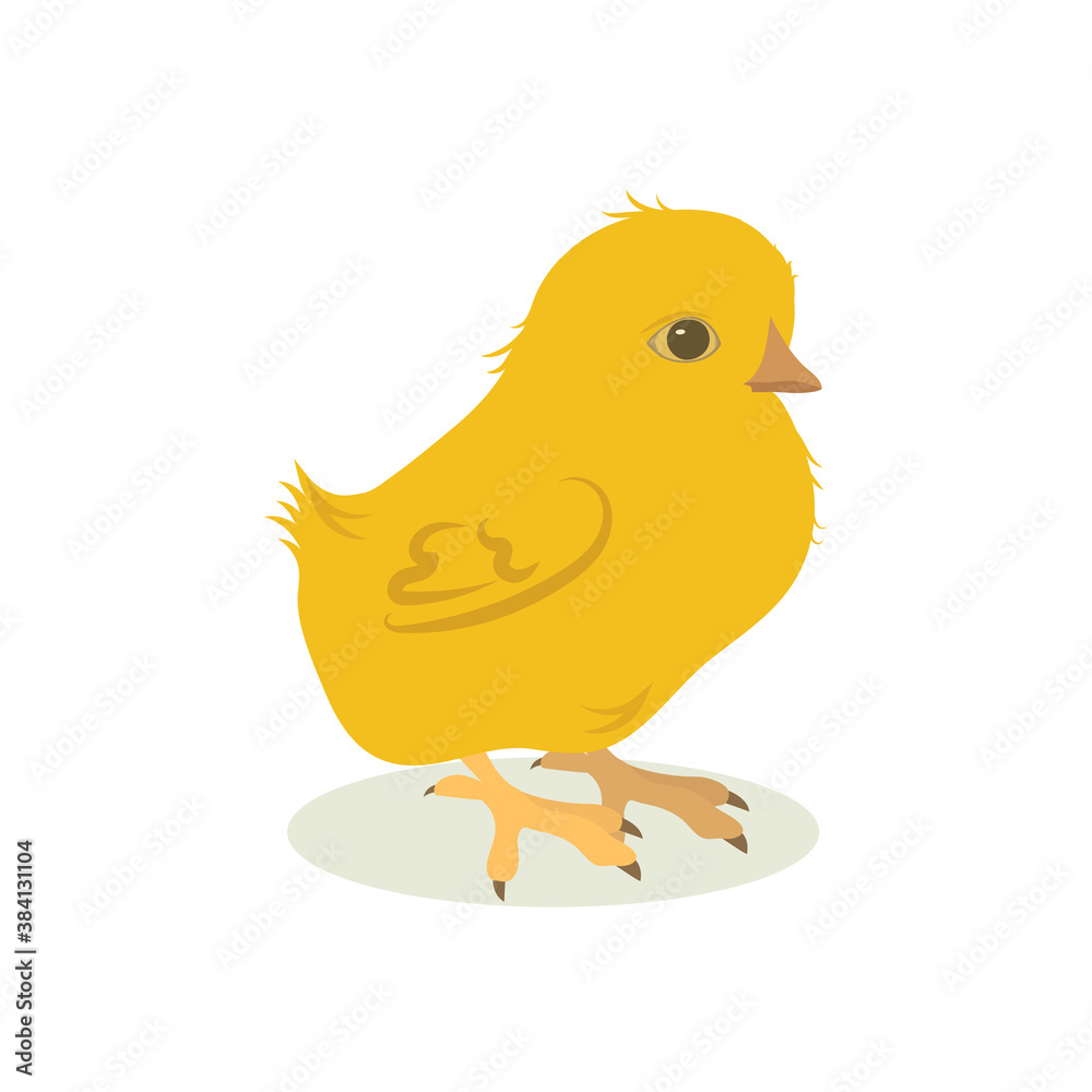 Vector illustration of easter cute chicken Vector illustration of easter cute chicken
