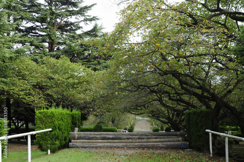 競馬場 photo