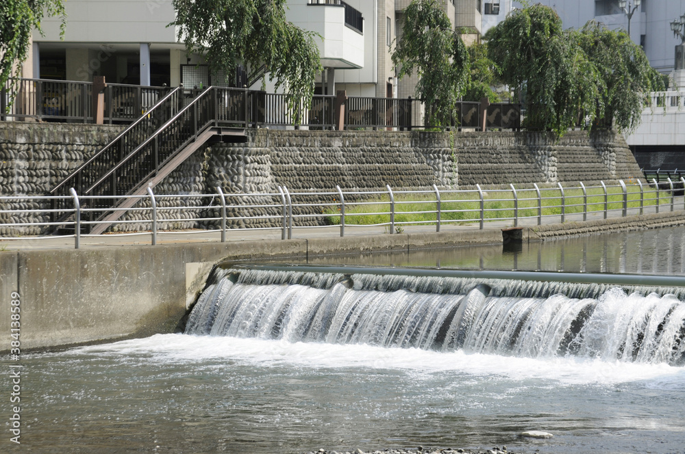 田川 田川
