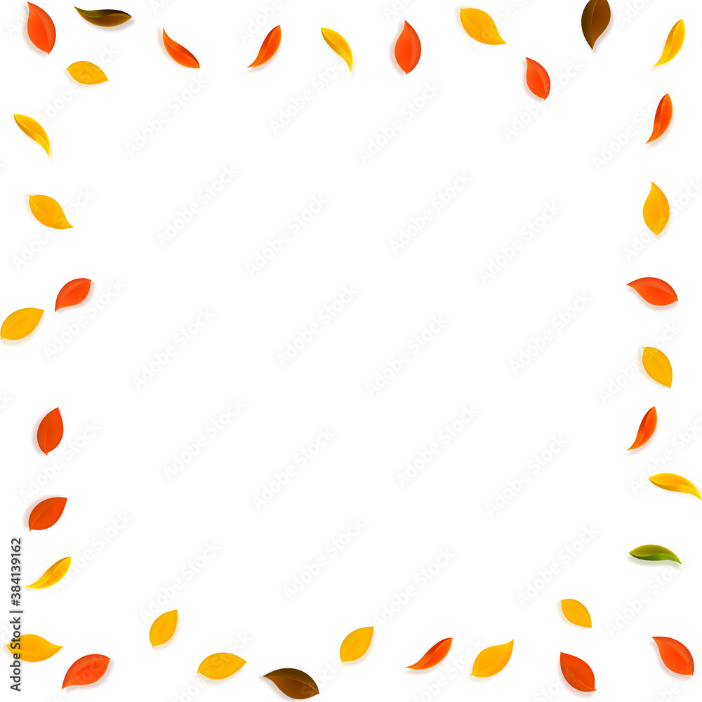 Falling autumn leaves. Red, yellow, green, brown r Falling autumn leaves. Red, yellow, green, brown r