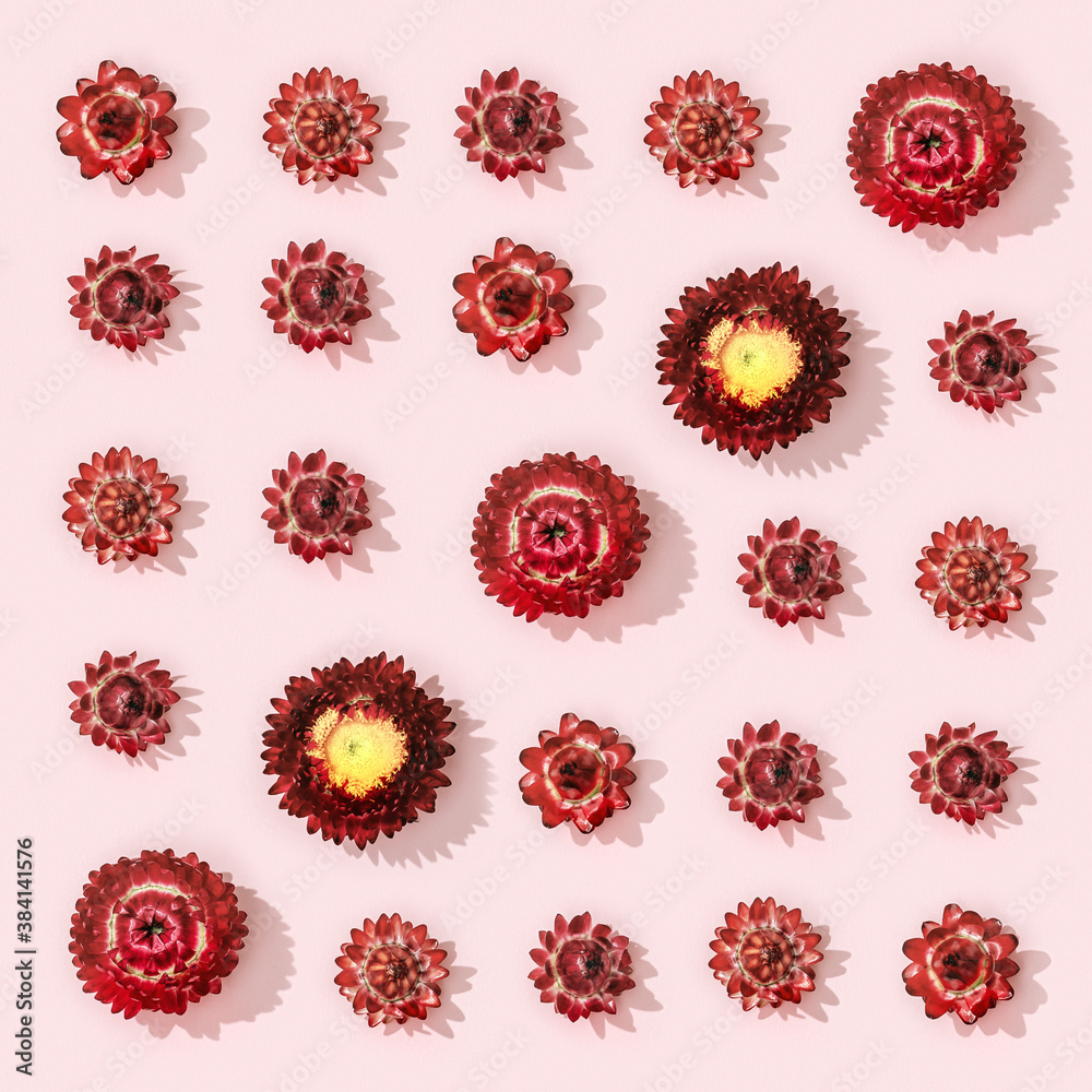Fototapeta premium Flowers composition from dried red flowers on soft pink. Floral design pattern.