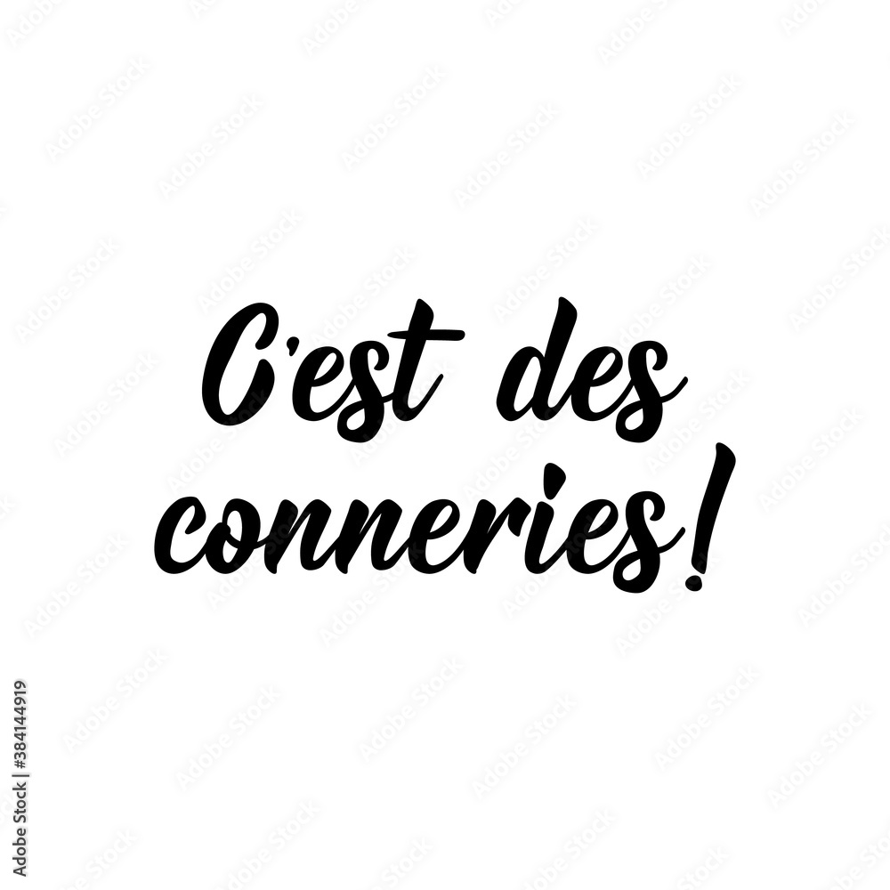 It is bullshit - in French language. Lettering. Ink illustration. Modern brush calligraphy. It is bullshit - in French language. Lettering. Ink illustration. Modern brush calligraphy.