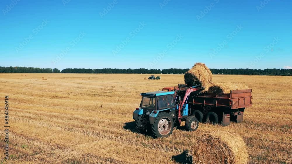 Agricultural machines are loading hay to take it out of the field Agricultural machines are loading hay to take it out of the field