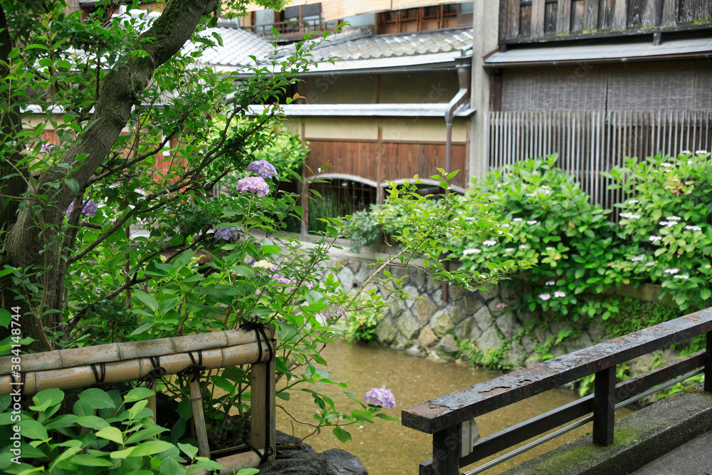 祇園白川 祇園白川