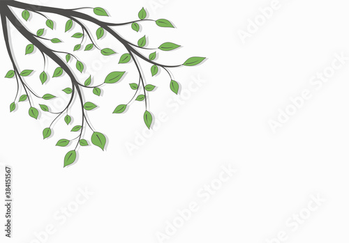 Tree branch with green leaves with space for text on a white background