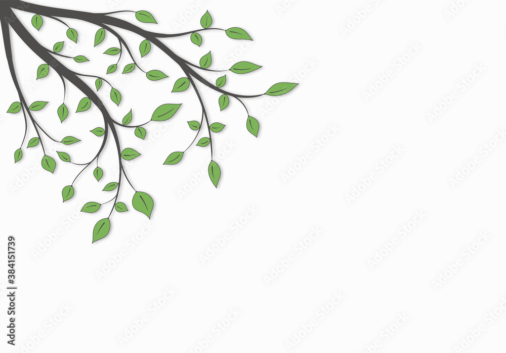 Tree branch with green leaves with space for text on a white background