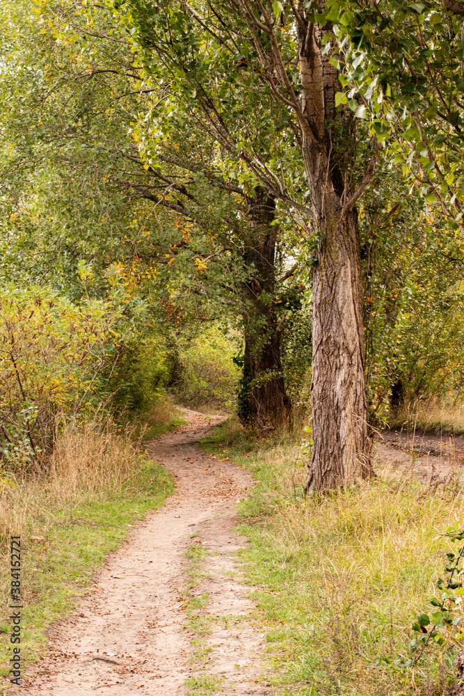 Ukraine, Kyiv - 3 October 2020:: Footpath road in forest near lake Ukraine, Kyiv - 3 October 2020:: Footpath road in forest near lake