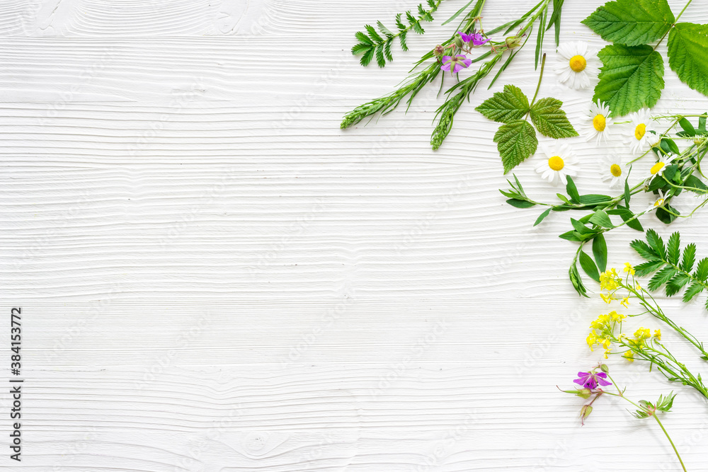 Wild fresh herbs and flowers for tea or medicine Wild fresh herbs and flowers for tea or medicine