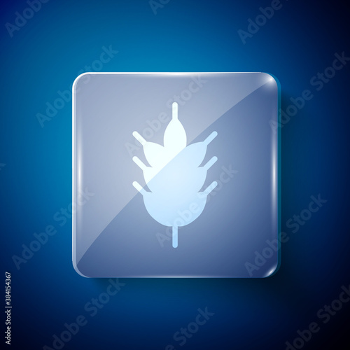 White Hop icon isolated on blue background. Square glass panels. Vector Illustration.