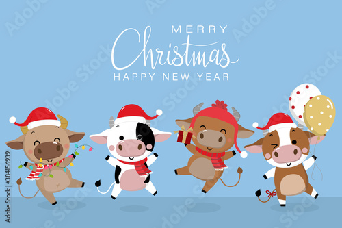 Merry Christmas and happy new year 2021. The year of the ox. The male cow and bull wear red winter costume. Animal holidays cartoon character. -Vector