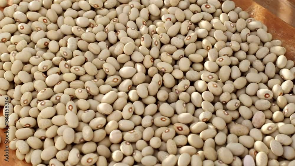 Lots of beans, legumes. Background, agriculture Lots of beans, legumes. Background, agriculture