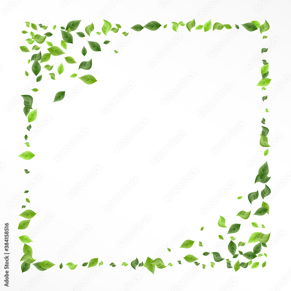 Mint Greenery Fly Vector White Background 