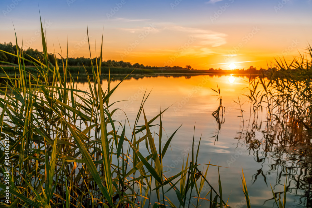 Scenic view at beautiful spring sunset with reflection on a shiny lake with green reeds, grass, golden sun rays, calm water ,deep blue cloudy sky and glow on a background, spring evening landscape