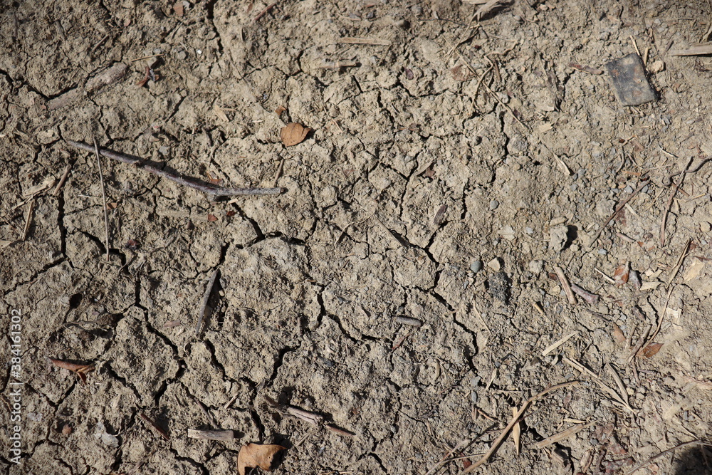 texture texture