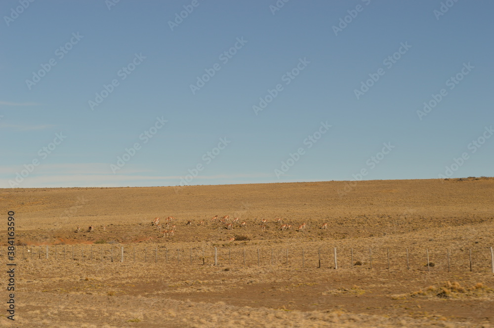 Obraz premium Driving the Carretera Austral in Patagonia, Chile