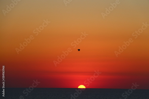 sunset at the sea