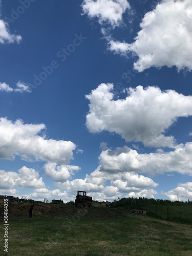 ruins of the castle